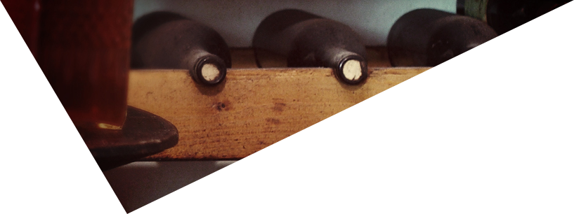 Vina Vukas